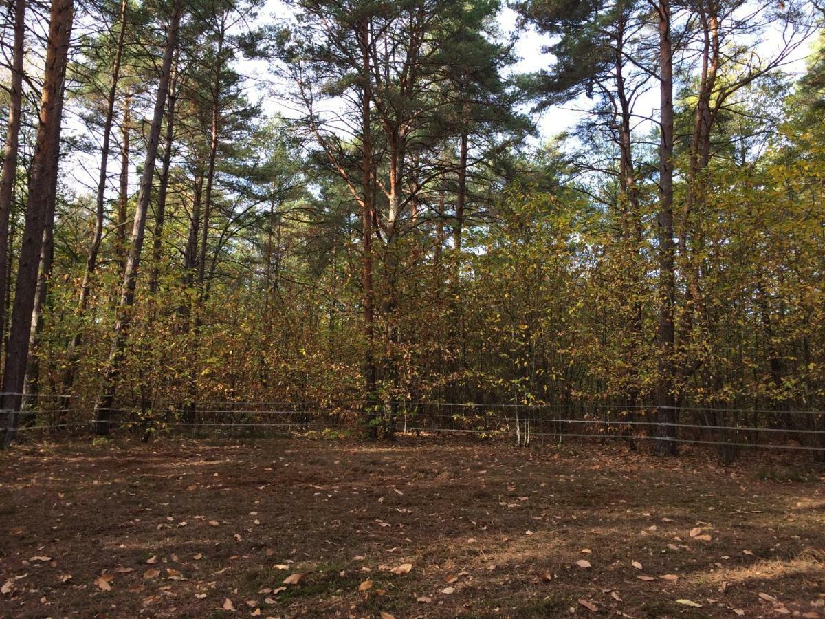 Chambre A La Campagne โชมงต์-ซูร์-ตาร็อนน์ ภายนอก รูปภาพ